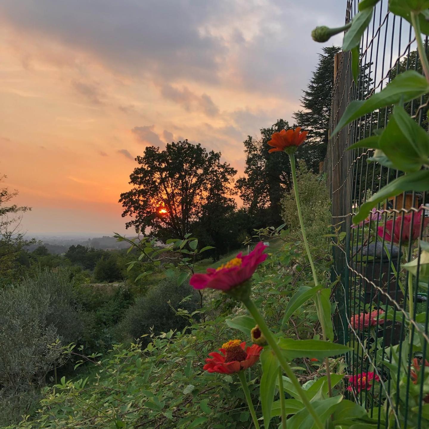 La Casita Eco Country House Bed and Breakfast Faedis Esterno foto
