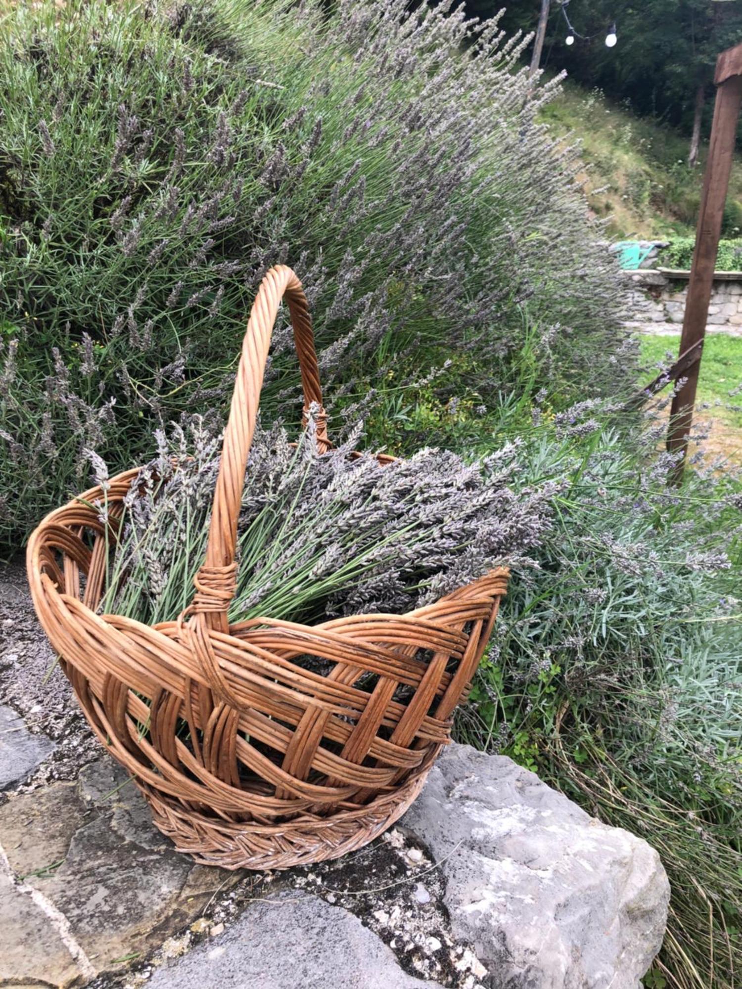 La Casita Eco Country House Bed and Breakfast Faedis Esterno foto